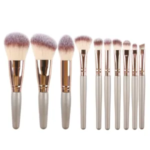 10 Mini Makeup Brushes Set Complete Blush and Eye Shadow Brushes Lip Brushes Beauty Tools