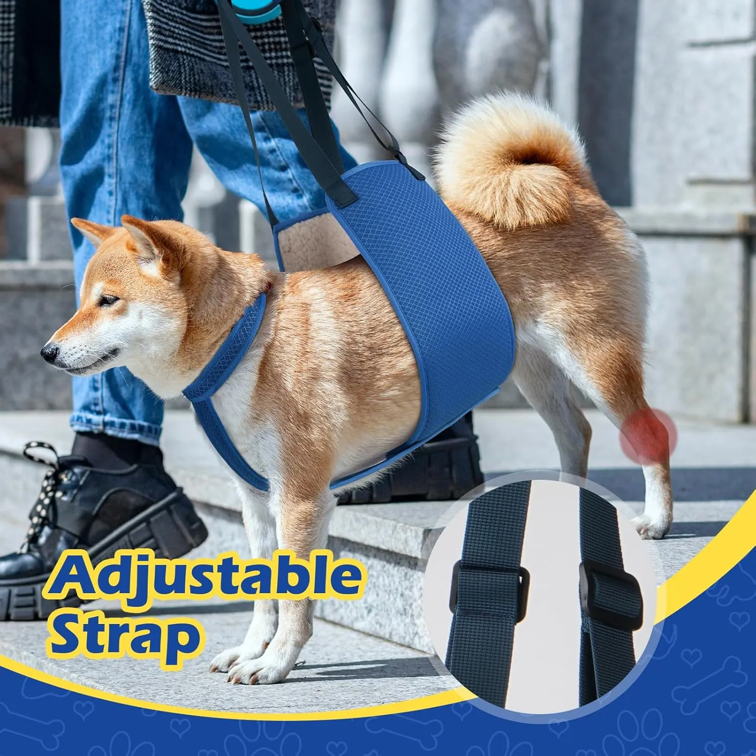 Adjustable Dog Lift Harness with Fixing Strap, Lift Sling for Large Dogs Hind Leg Support, Soft Rehab Harness for Weak Rear Legs, Ideal for Senior, Injured, Disabled Dogs and Surgery Recovery (XL)