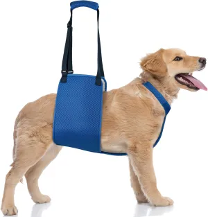 Adjustable Dog Lift Harness with Fixing Strap, Lift Sling for Large Dogs Hind Leg Support, Soft Rehab Harness for Weak Rear Legs, Ideal for Senior, Injured, Disabled Dogs and Surgery Recovery (XL)