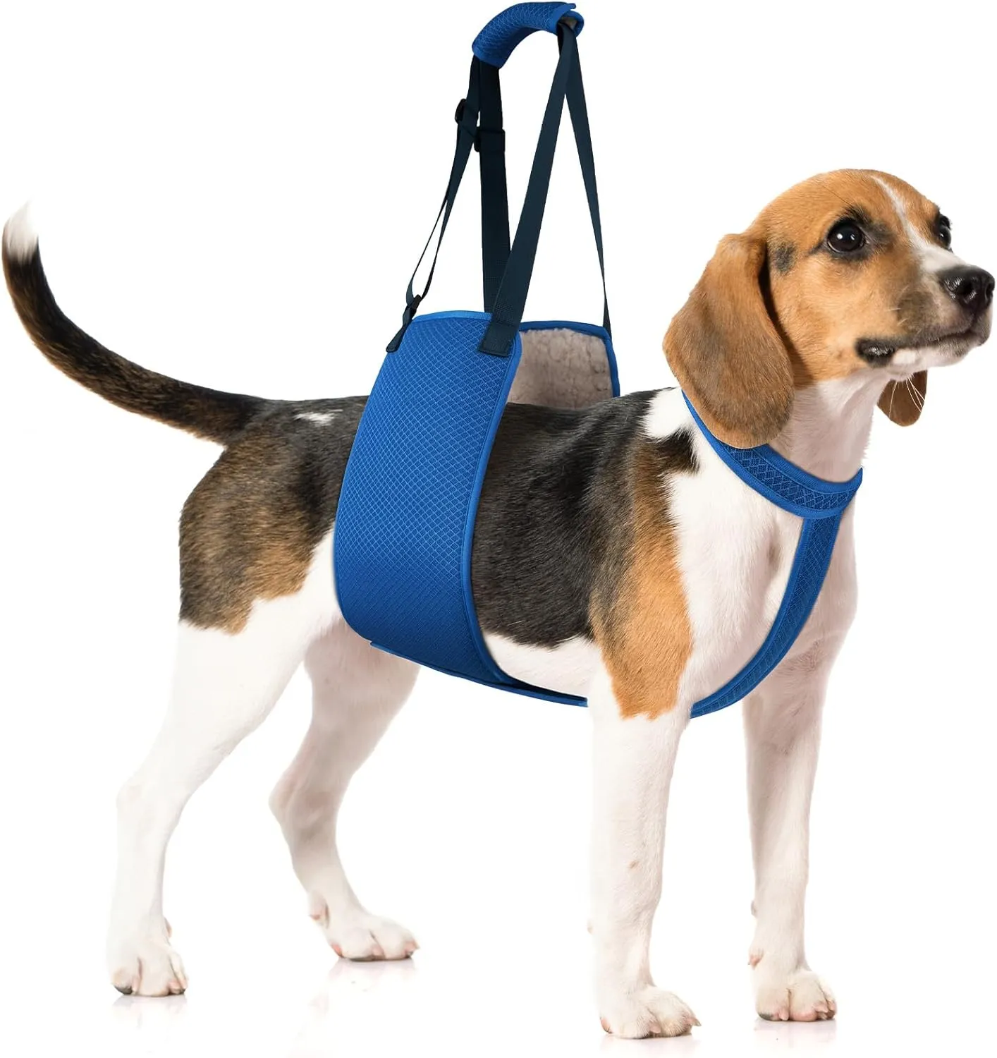 Adjustable Dog Lift Harness with Fixing Strap, Lift Sling for Large Dogs Hind Leg Support, Soft Rehab Harness for Weak Rear Legs, Ideal for Senior, Injured, Disabled Dogs and Surgery Recovery (XL)