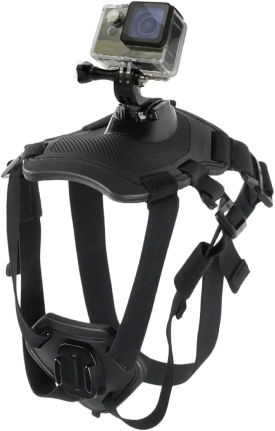 Adjustable French Bulldog GoPro Harness - Secure Camera Mount for Adventurous Pets