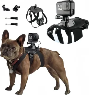 Adjustable French Bulldog GoPro Harness - Secure Camera Mount for Adventurous Pets
