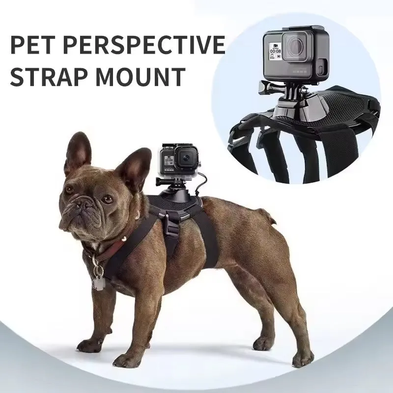 Adjustable French Bulldog GoPro Harness - Secure Camera Mount for Adventurous Pets