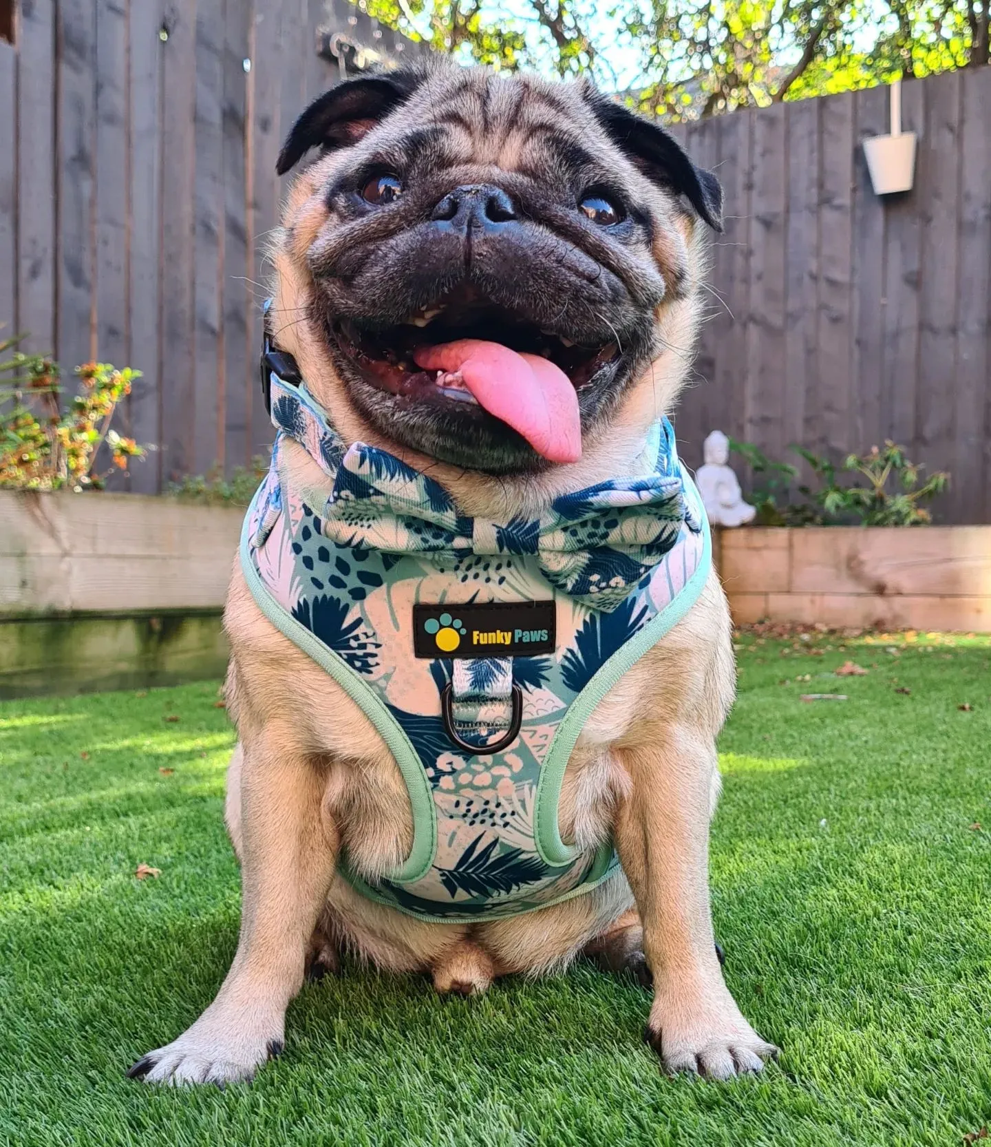 Adjustable Harness - Leafy