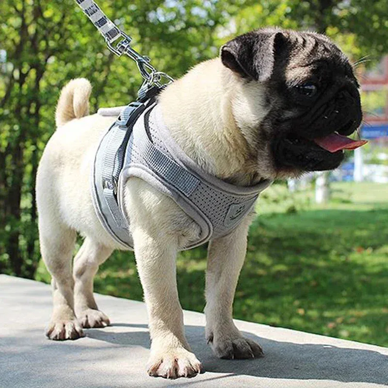 Adjustable Mesh Dog Harness Set