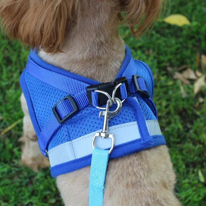 Adjustable Mesh Dog Harness Set