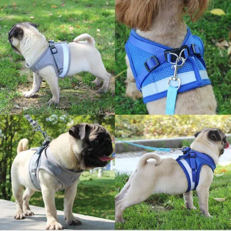 Adjustable Mesh Dog Harness Set
