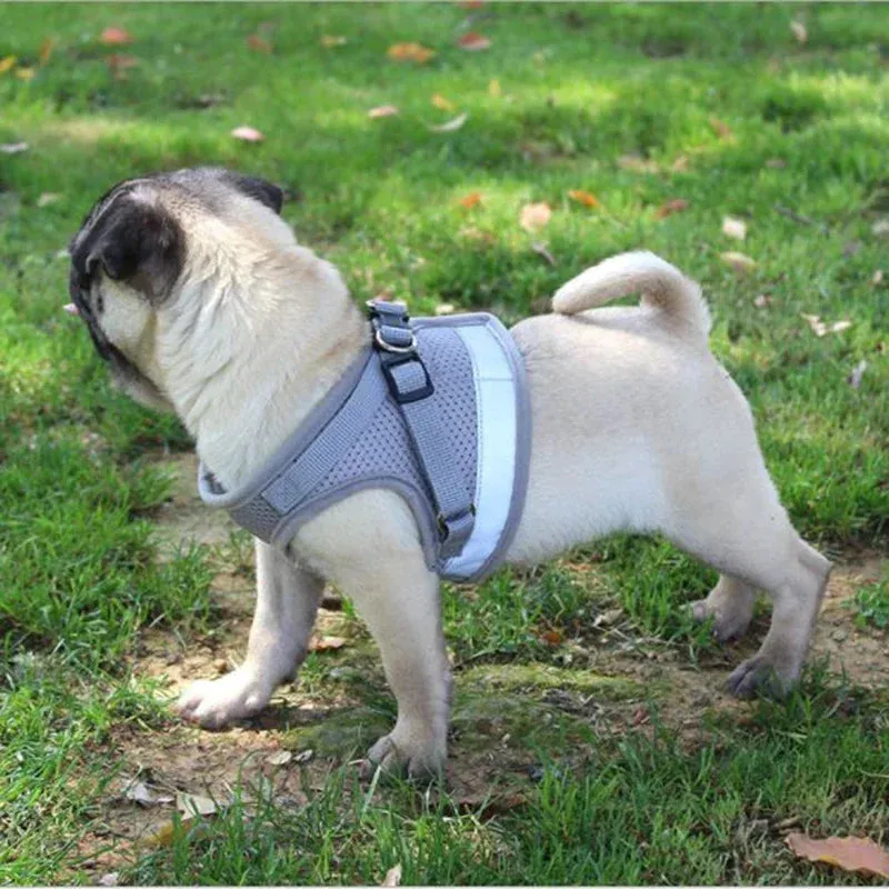 Adjustable Mesh Dog Harness Set
