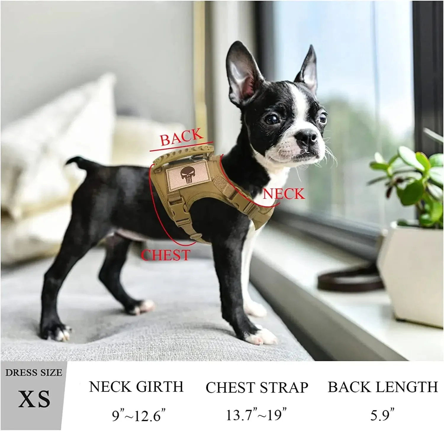 Adjustable Tactical Vest for Small Dogs