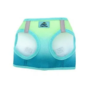 American River Ombre Harness — Aruba Blue