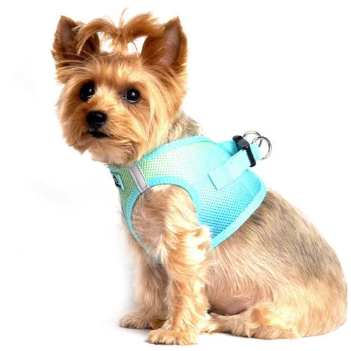 American River Ombre Harness — Aruba Blue