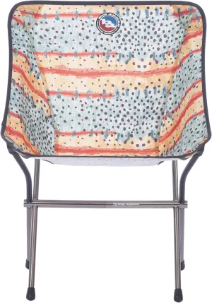 Big Agnes Mica Basin Chair- Ultralight, Portable Chair for Camping and Backpacking, Greenback