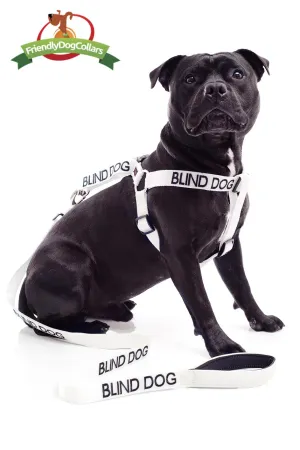 Blind Dog Lead and Strap Harness