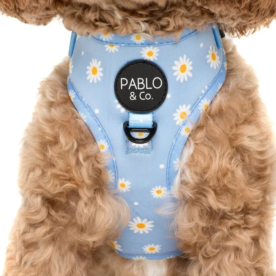 Blue Daisy Adjustable Harness