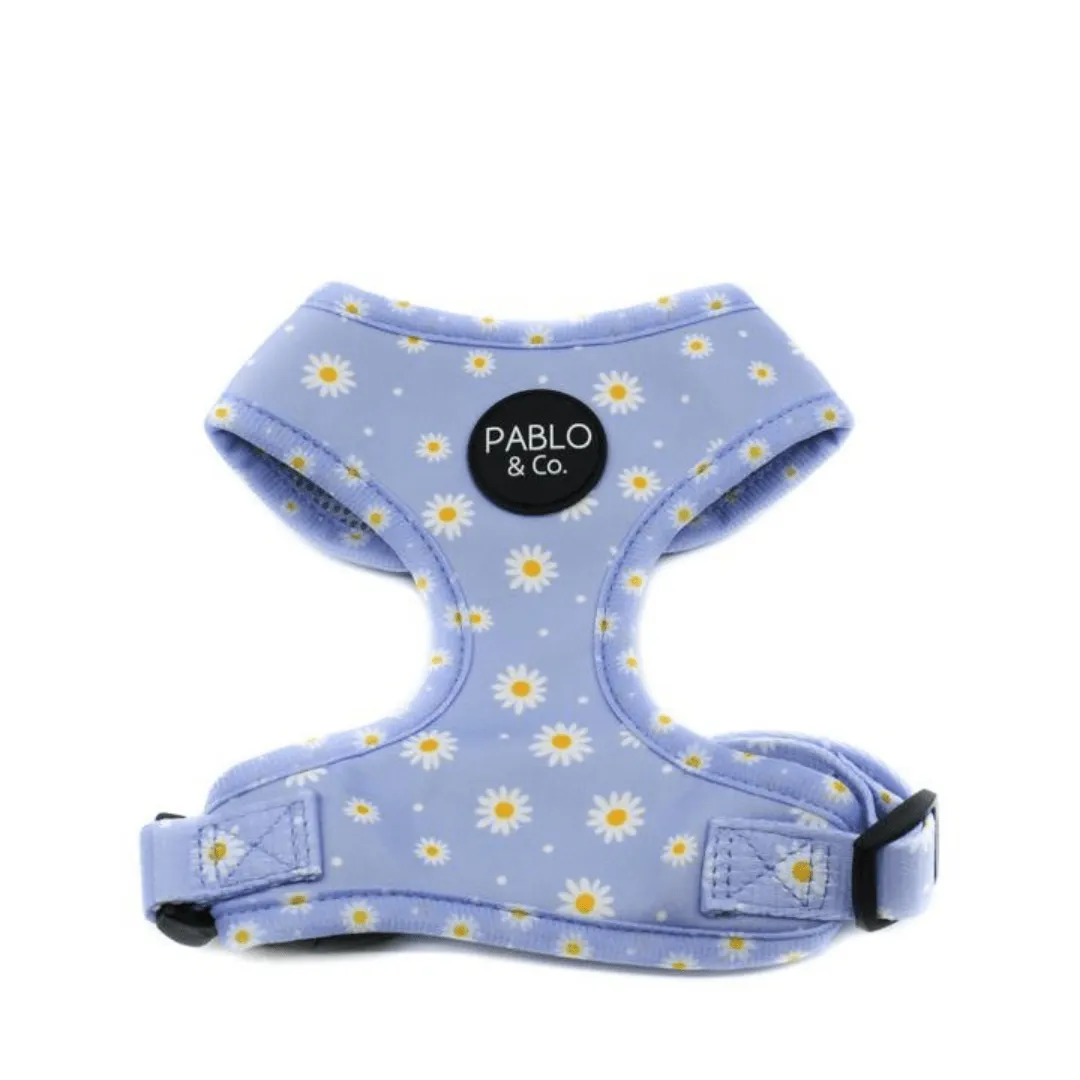 Blue Daisy Adjustable Harness