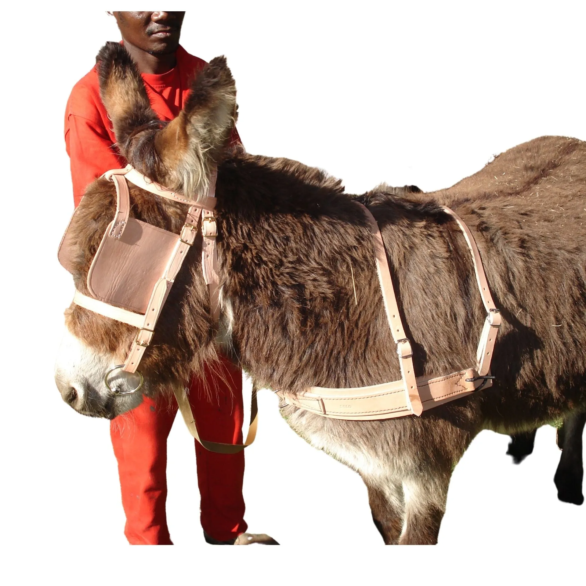 Breast Plate Donkey Leather Solo
