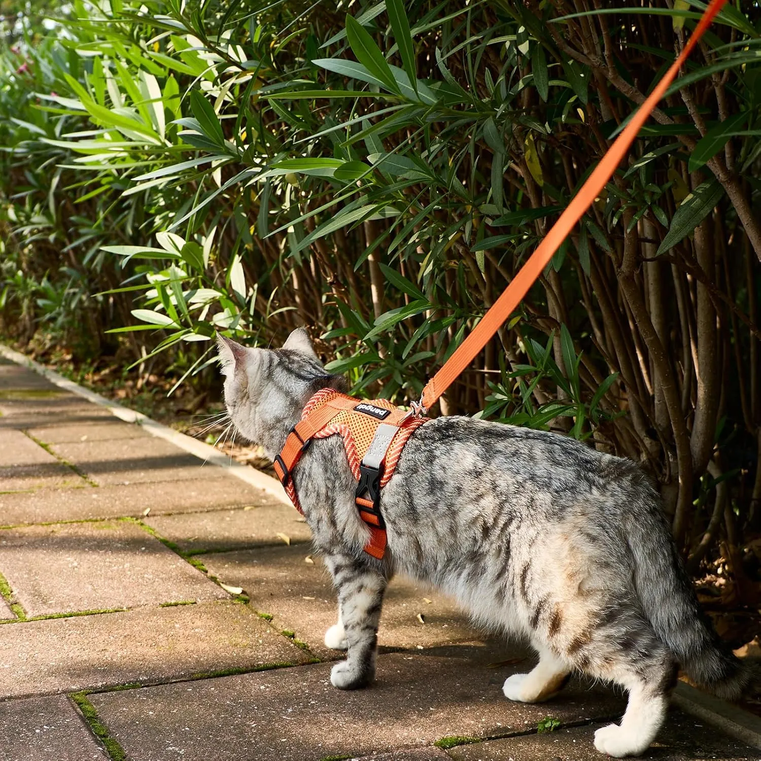 Cat Harness and Leash Escape Proof Large Kitten Harness Ragdoll Cat Vest for Walking Travel, Orange, L
