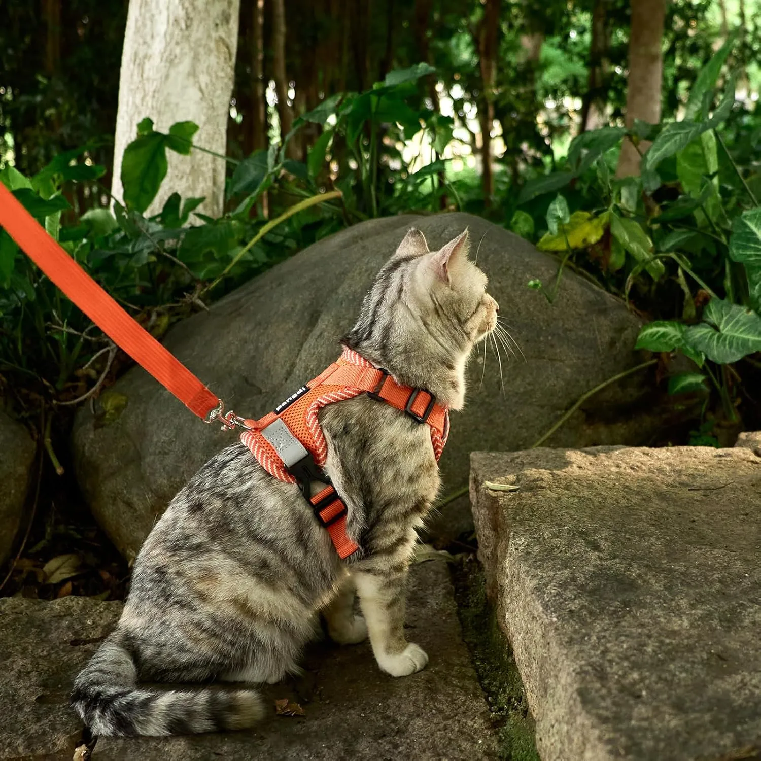 Cat Harness and Leash Escape Proof Large Kitten Harness Ragdoll Cat Vest for Walking Travel, Orange, L