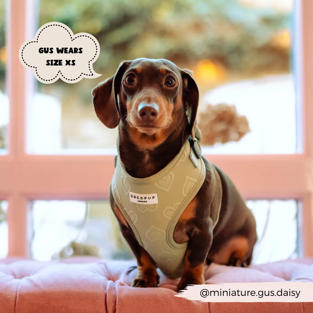 Cocopup Luxe Adjustable Dog Harness – Sage Green Heart Design