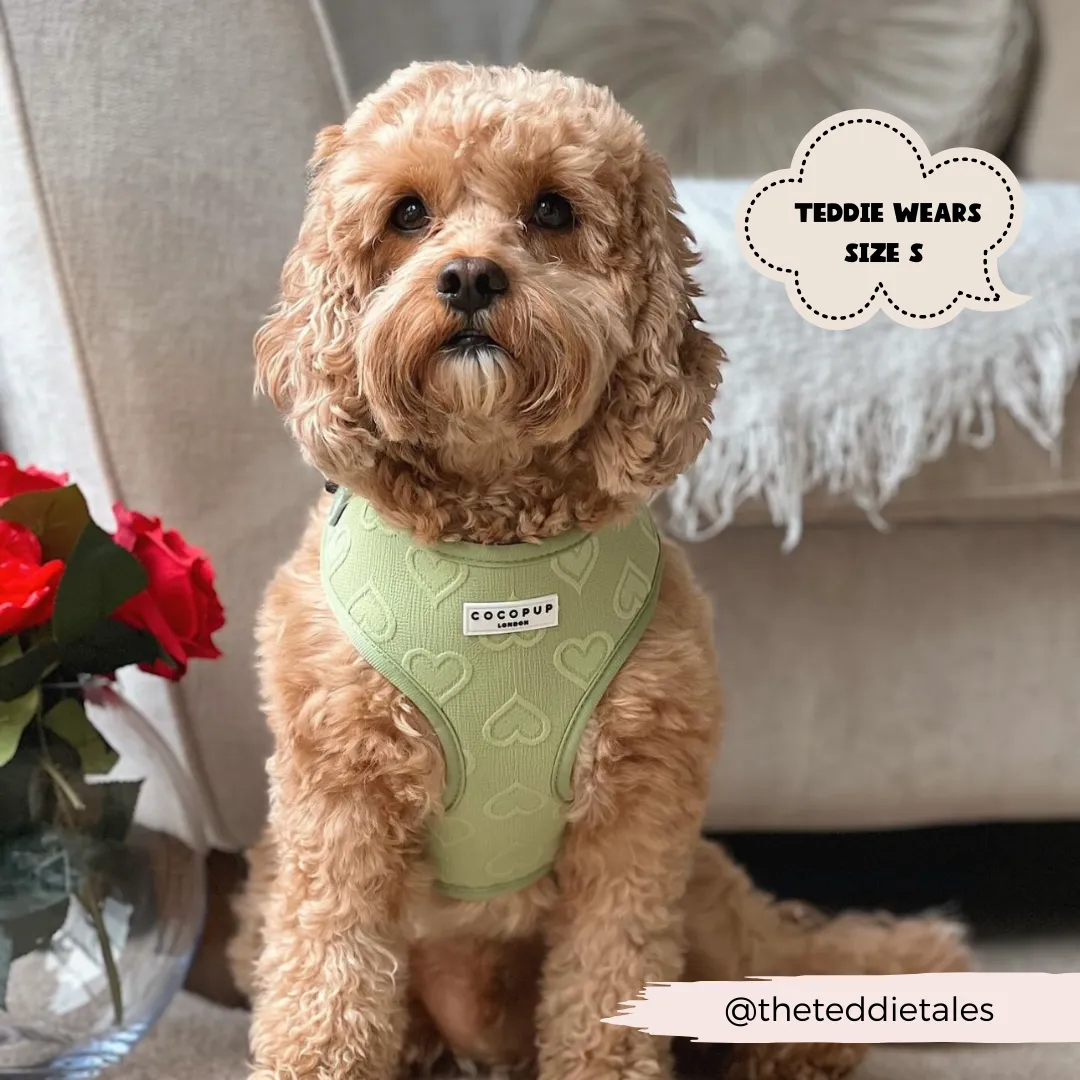 Cocopup Luxe Adjustable Dog Harness – Sage Green Heart Design