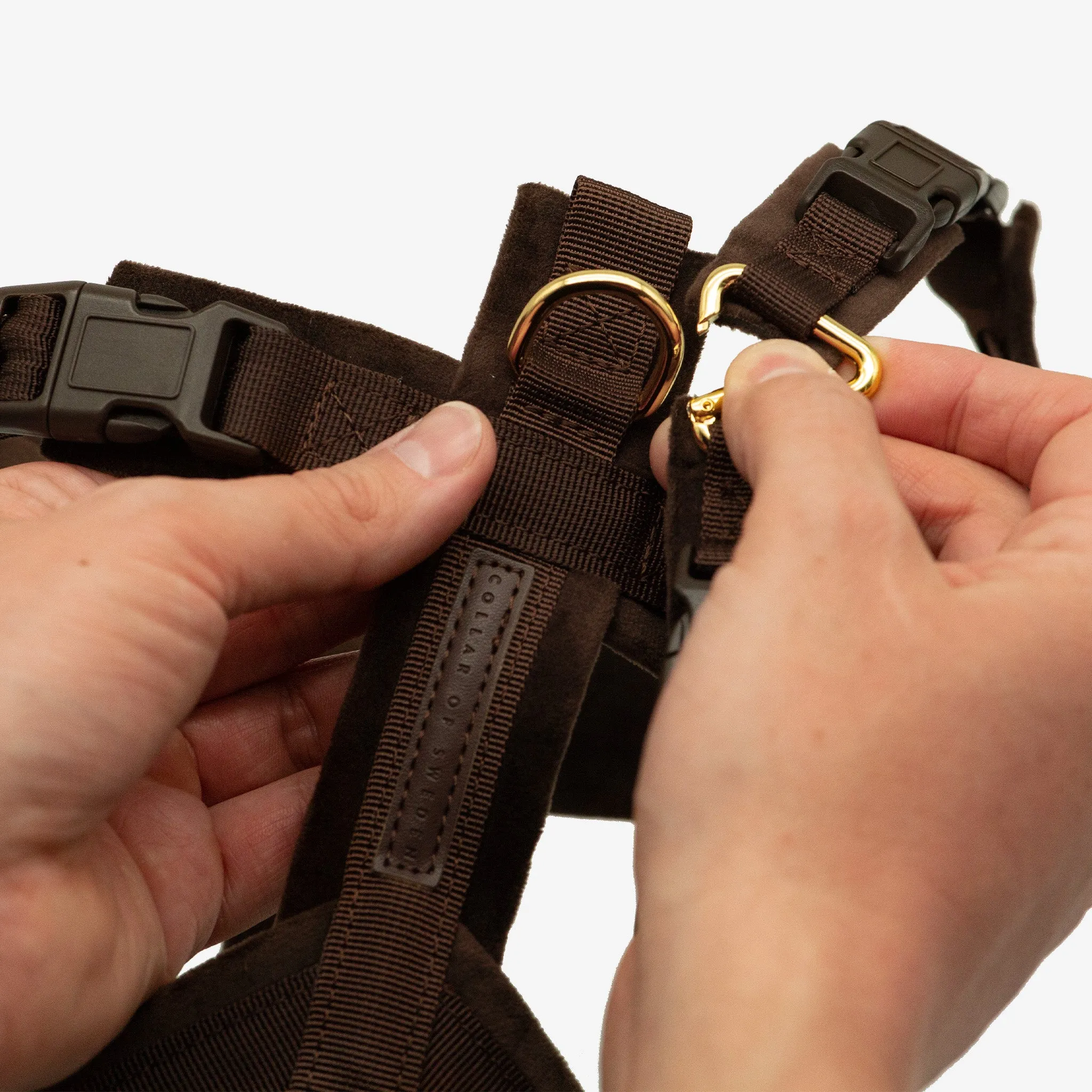 Coffee Brown Y-Harness XS