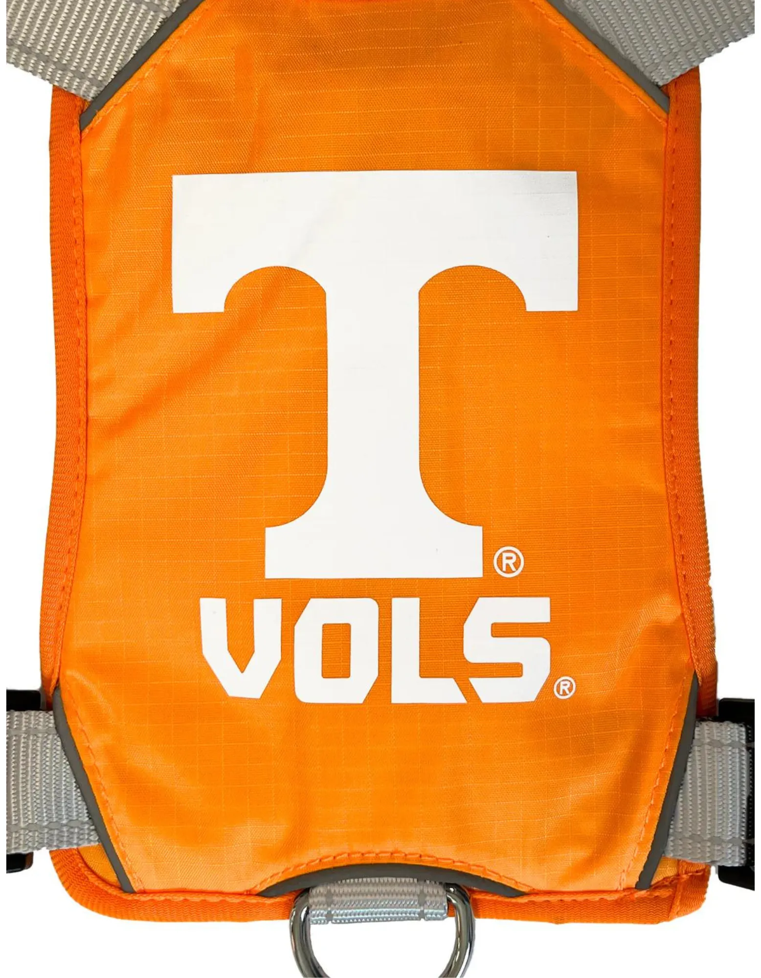 College Theme Dog Harness by BAYDOG