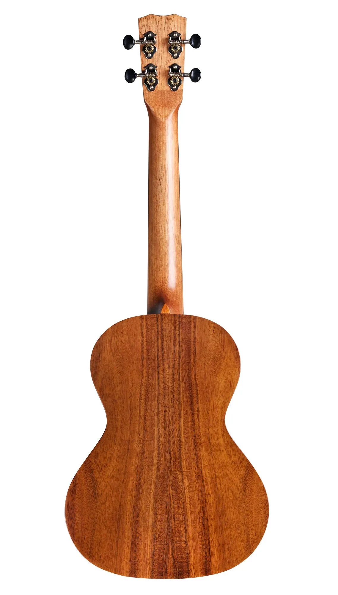Cordoba 25T Acacia Tenor Ukulele - Solid Acacia Top, Figured Acacia Back & Sides