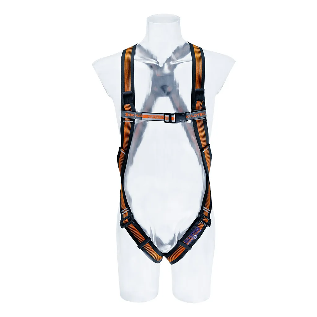 CS 2 Click Harness
