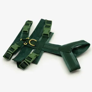 Dark Green Y-Harness XS