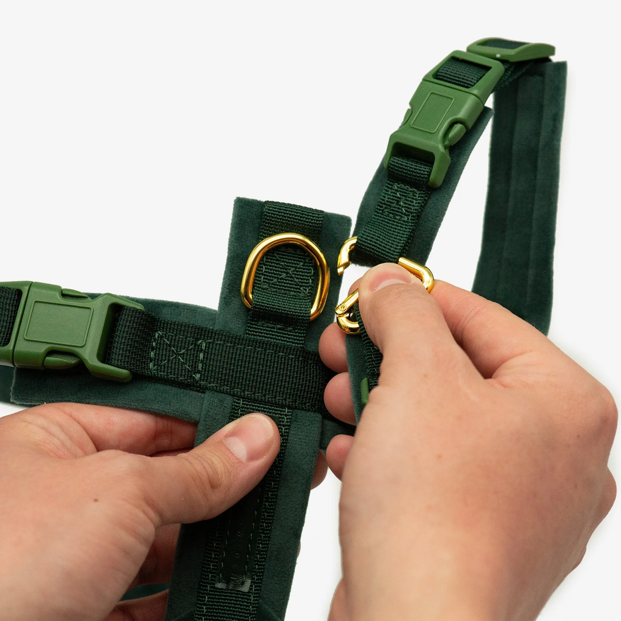 Dark Green Y-Harness XS