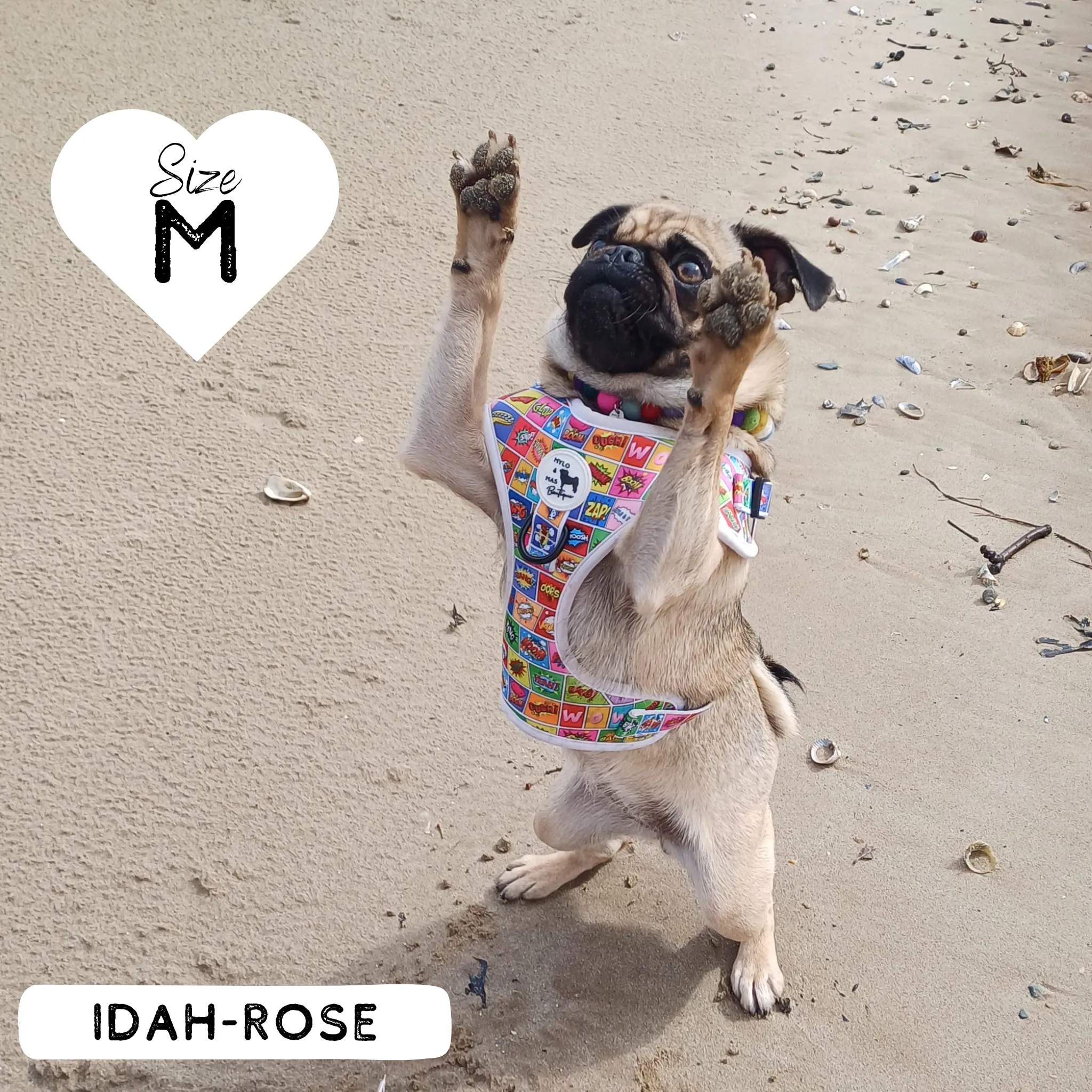 Dog Adjustable Harness - Pawpow