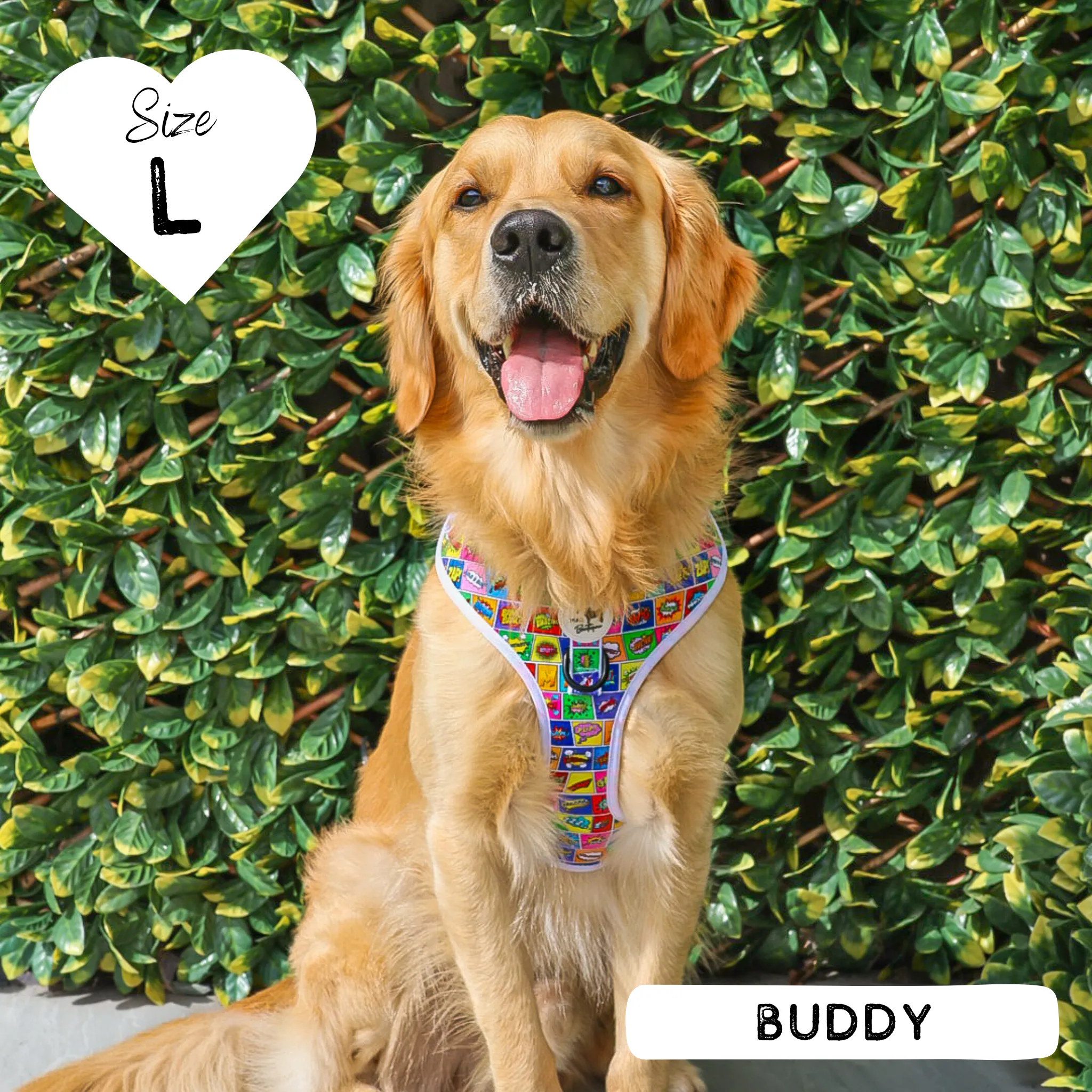 Dog Adjustable Harness - Pawpow