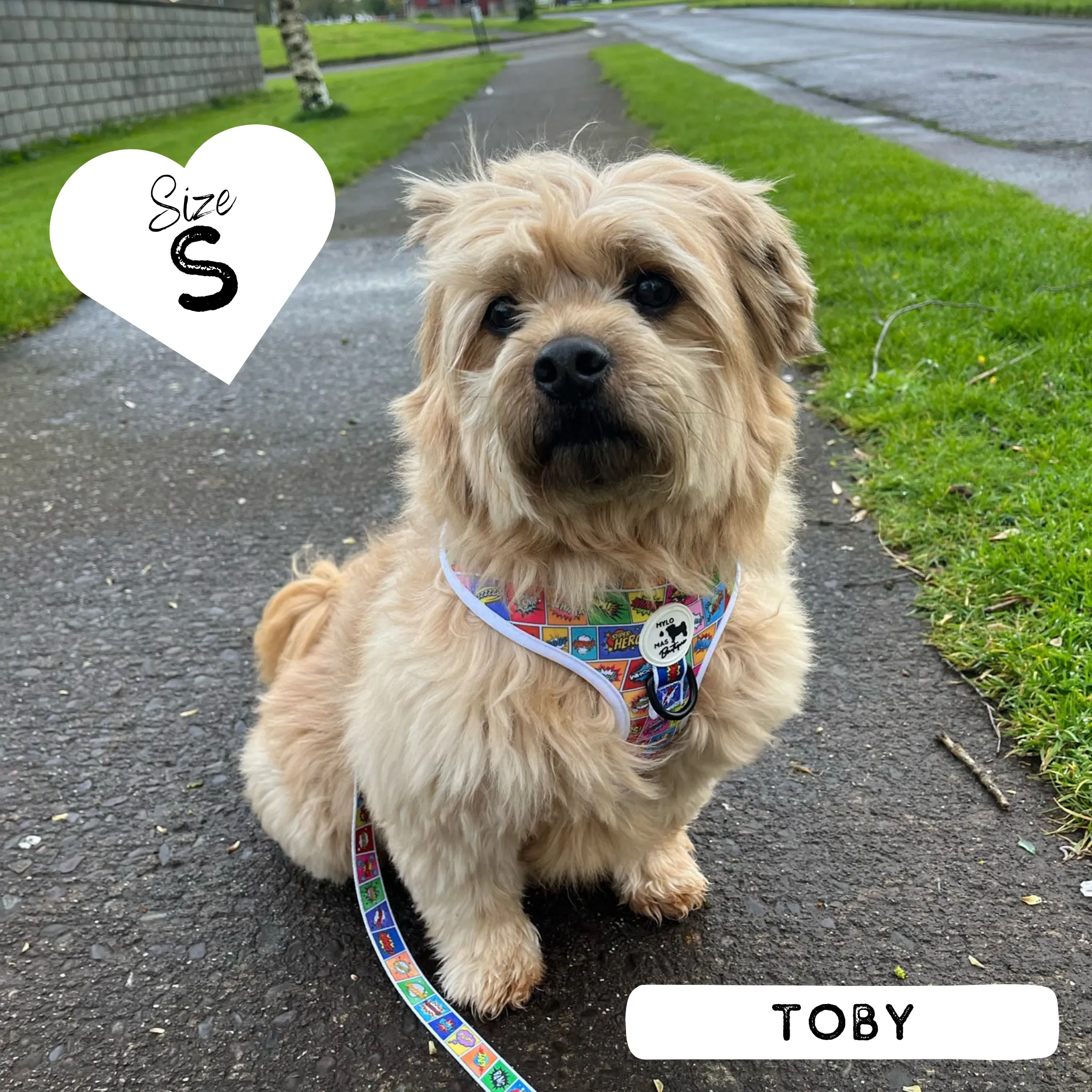 Dog Adjustable Harness - Pawpow