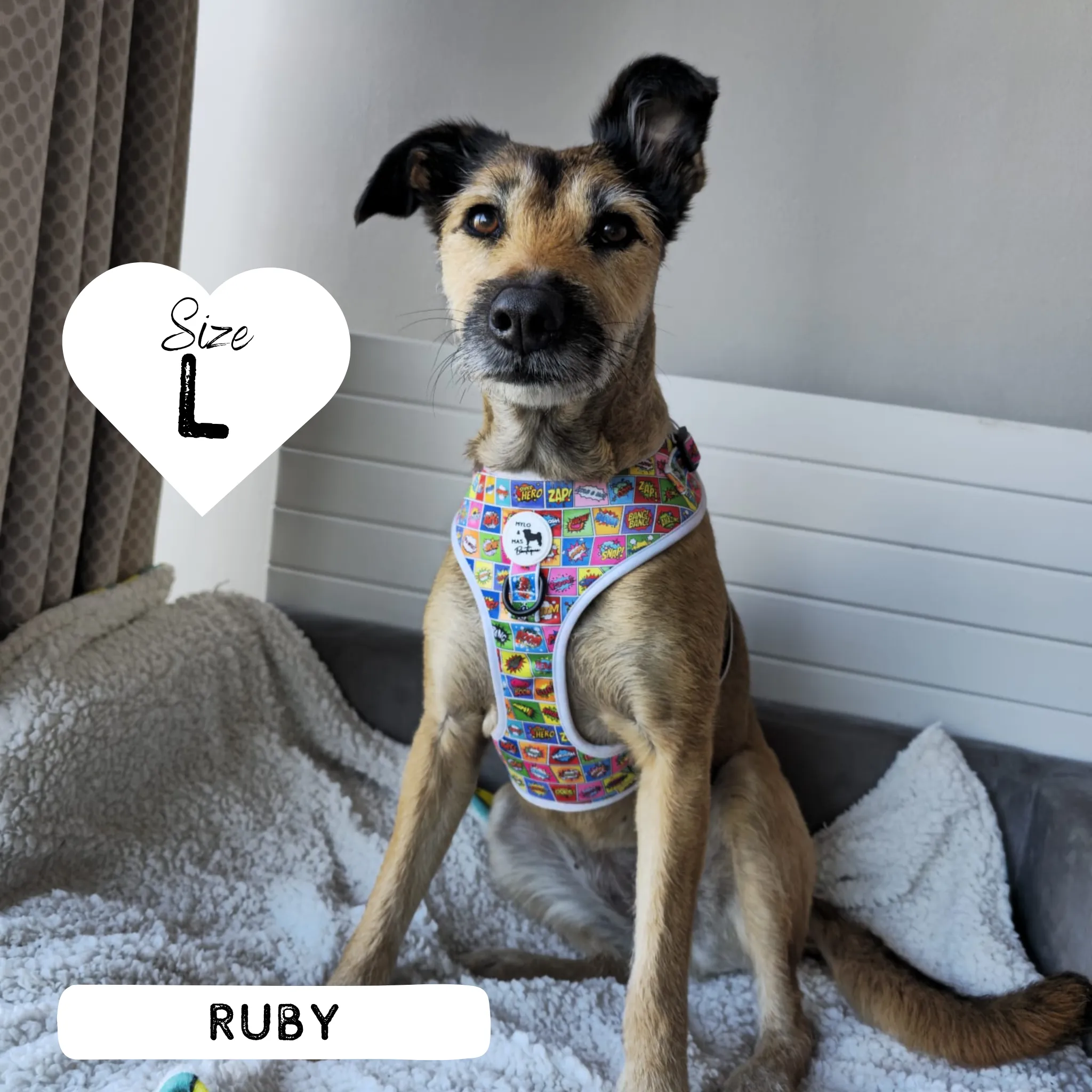 Dog Adjustable Harness - Pawpow