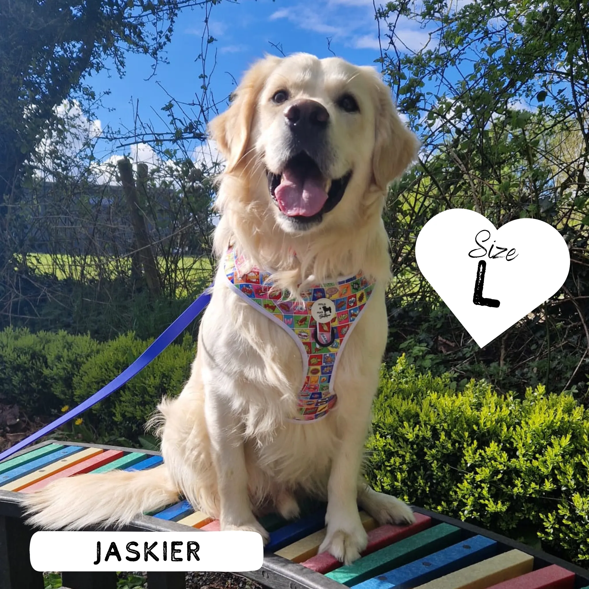 Dog Adjustable Harness - Pawpow