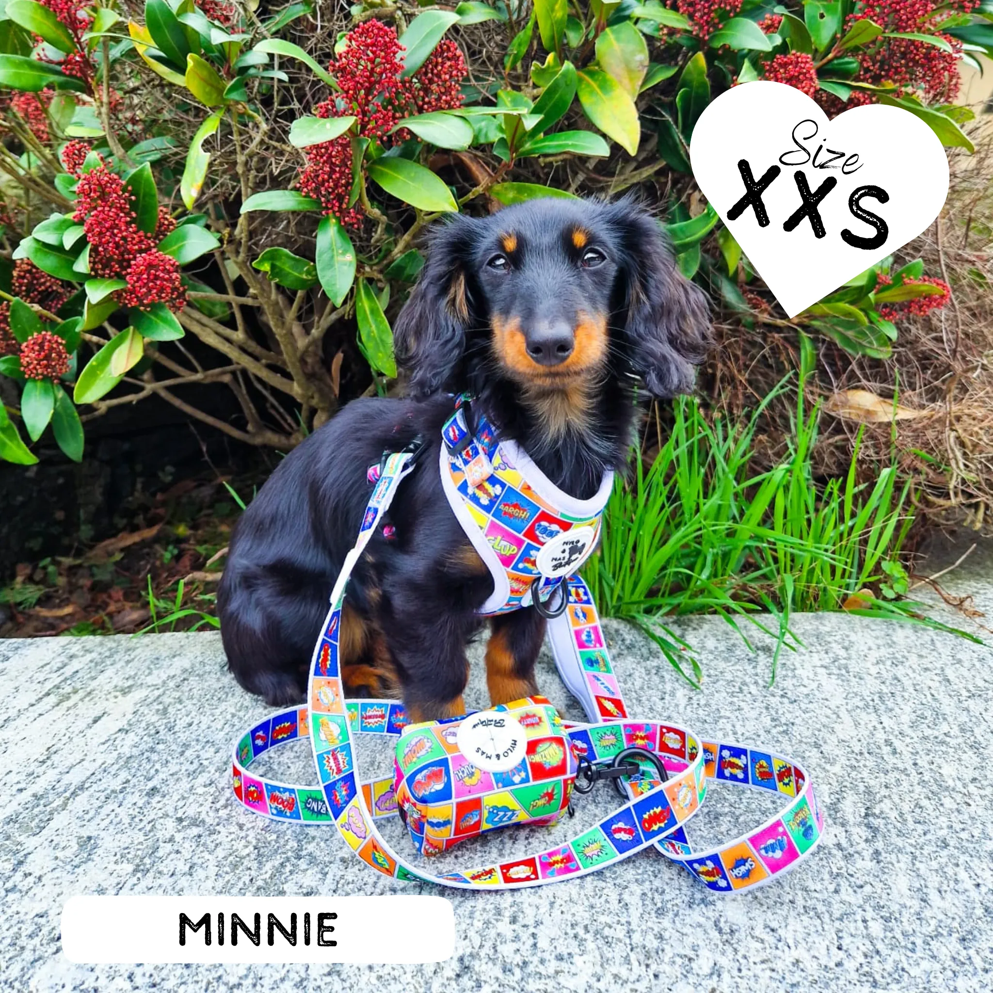 Dog Adjustable Harness - Pawpow
