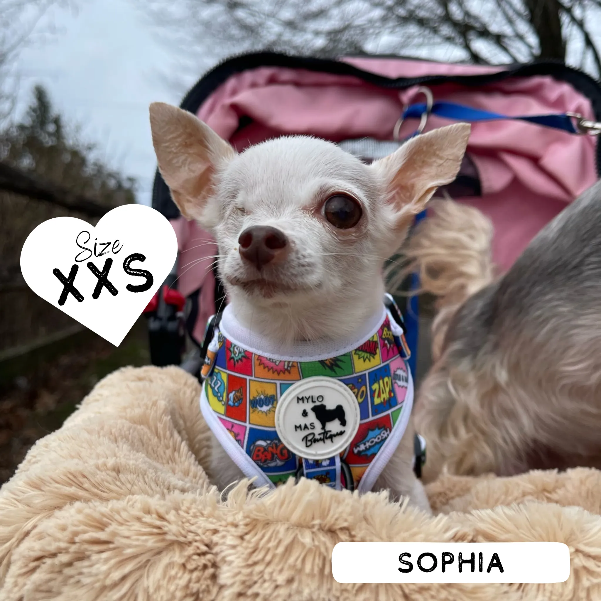 Dog Adjustable Harness - Pawpow