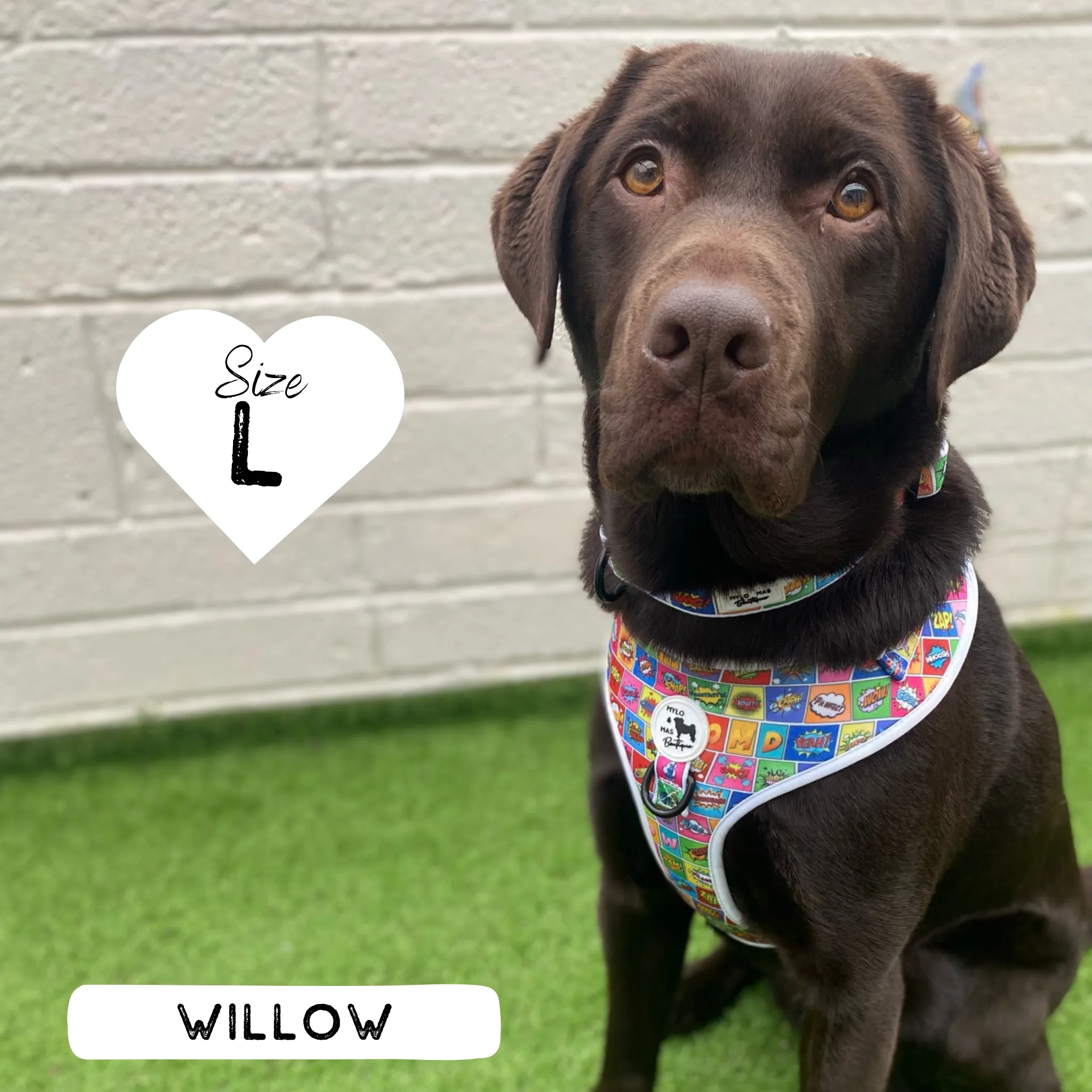 Dog Adjustable Harness - Pawpow