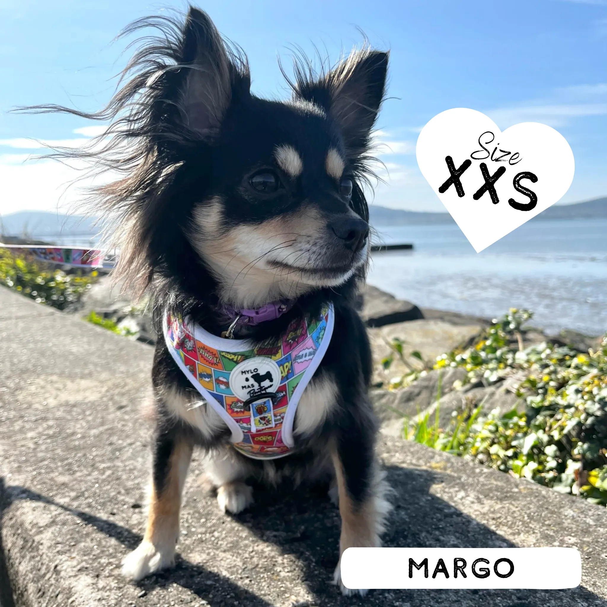 Dog Adjustable Harness - Pawpow