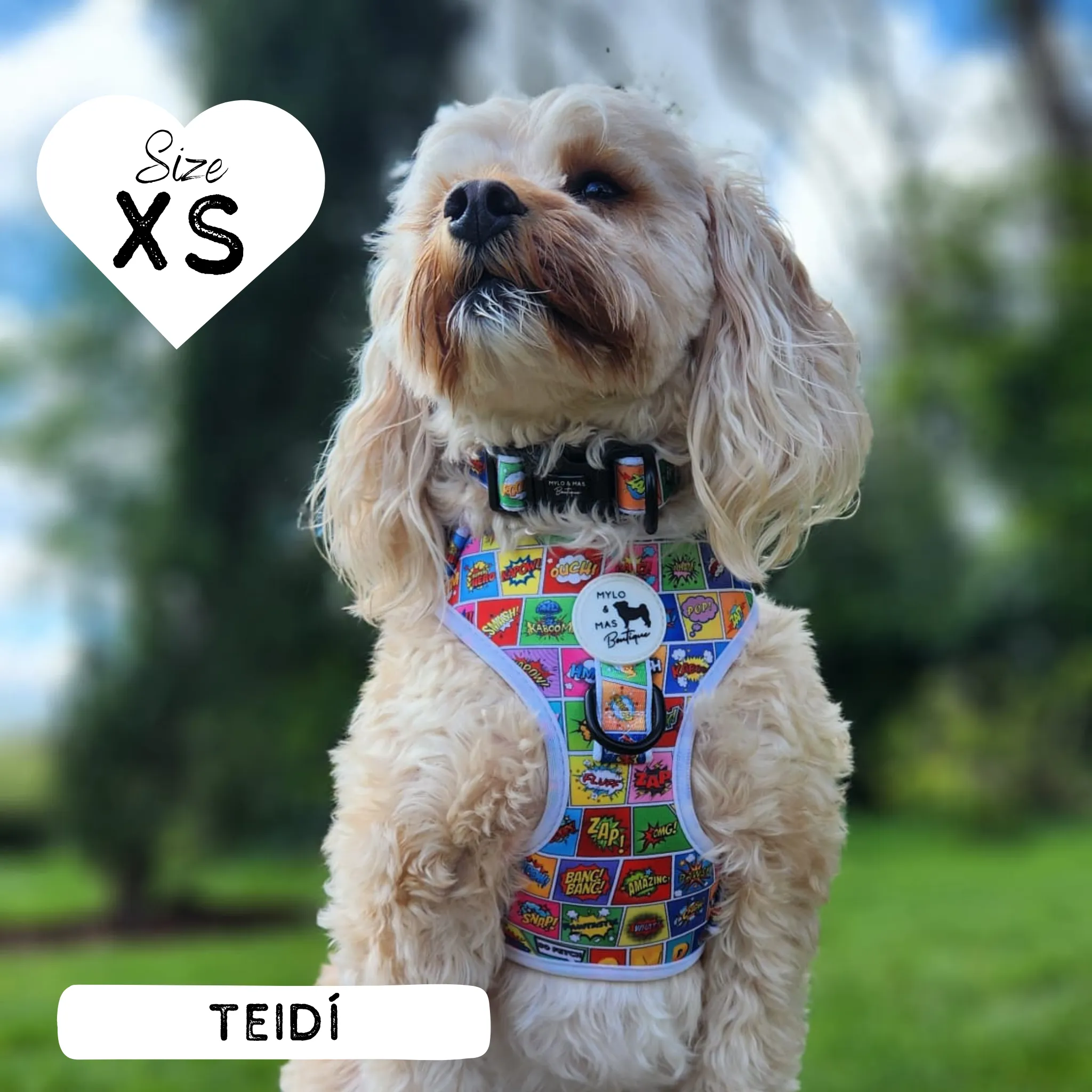 Dog Adjustable Harness - Pawpow