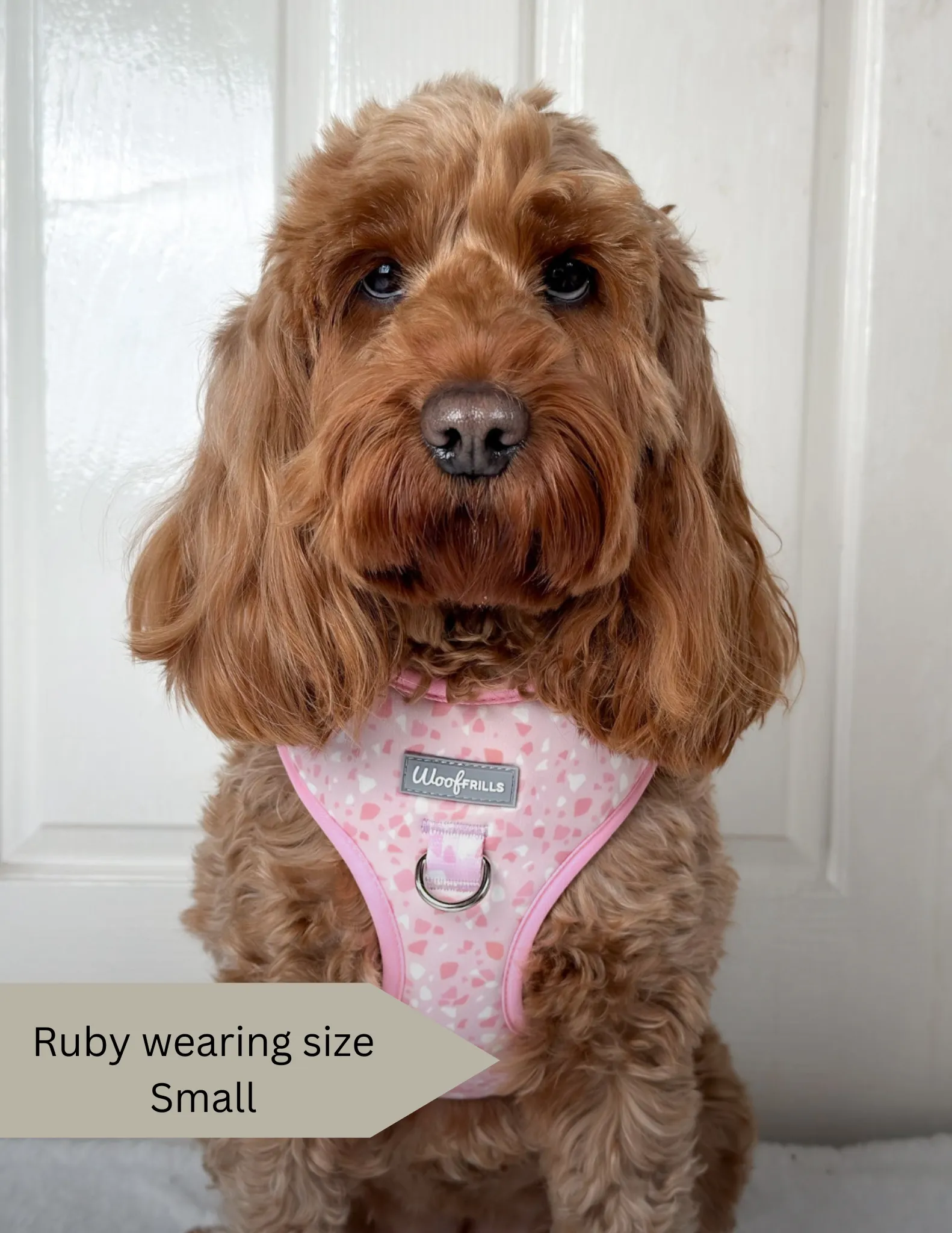 Dog Harness | Blushing with Love