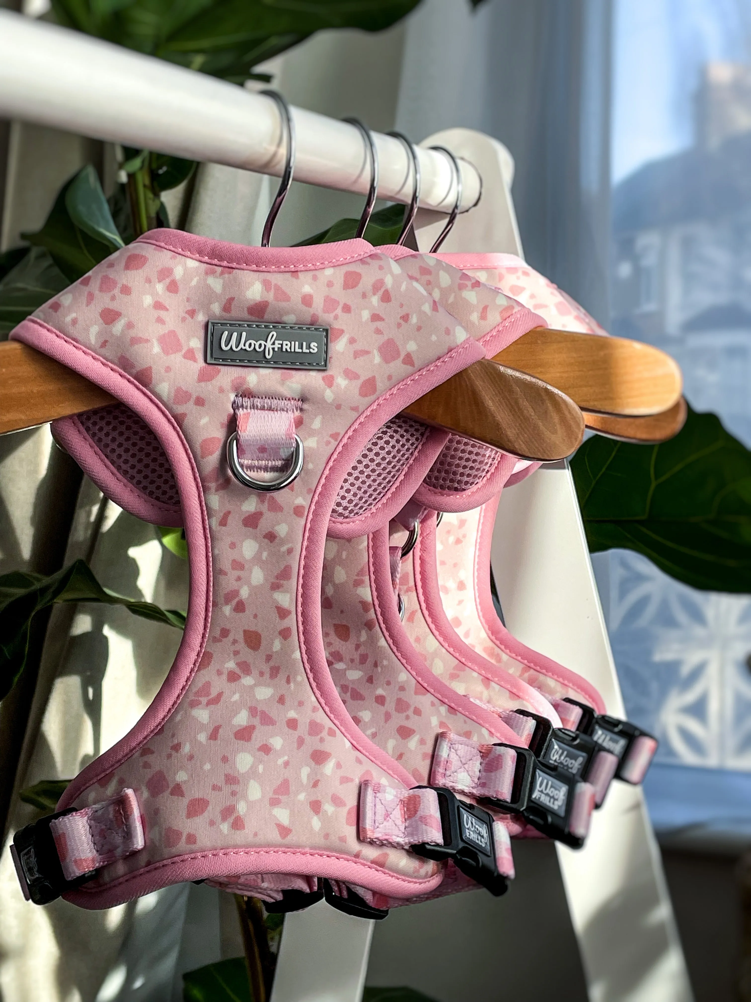 Dog Harness | Blushing with Love