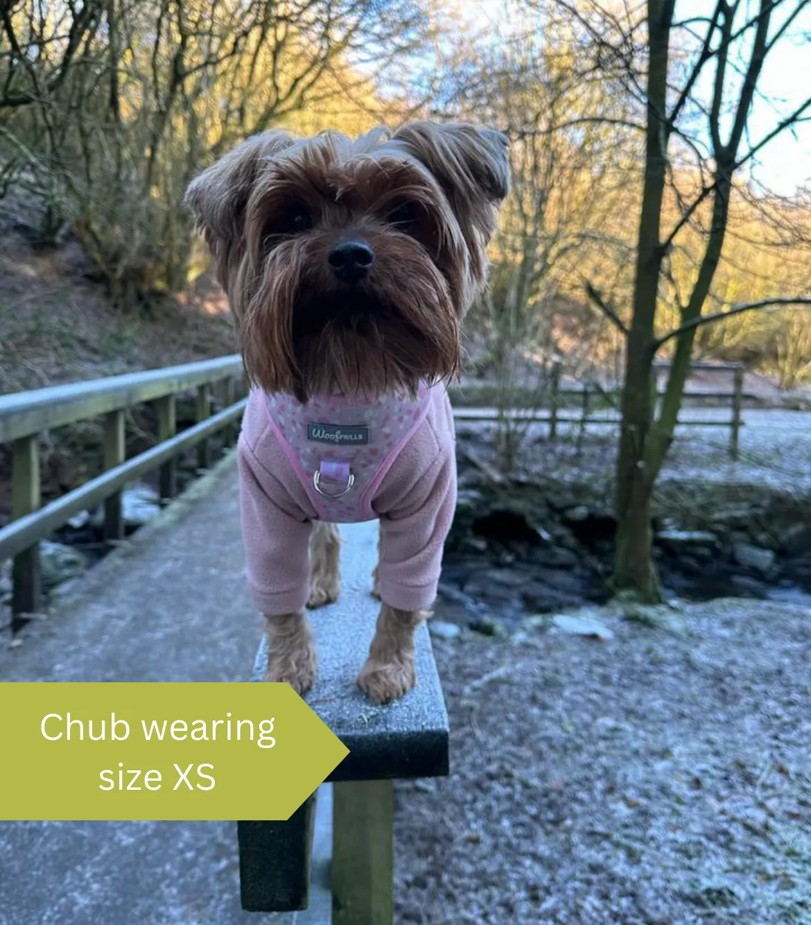 Dog Harness | Blushing with Love