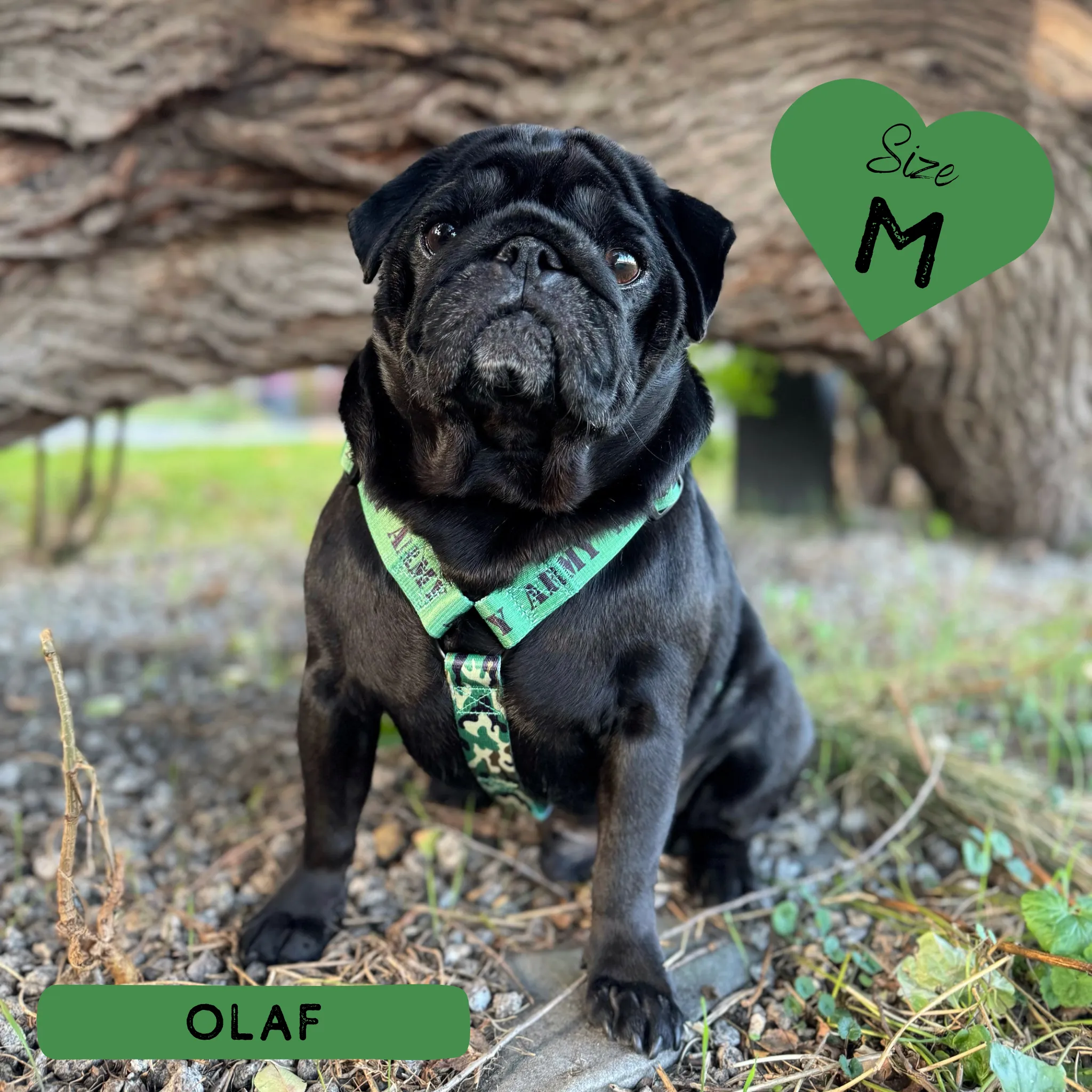 Dog Strap Harness - Supaw Trooper