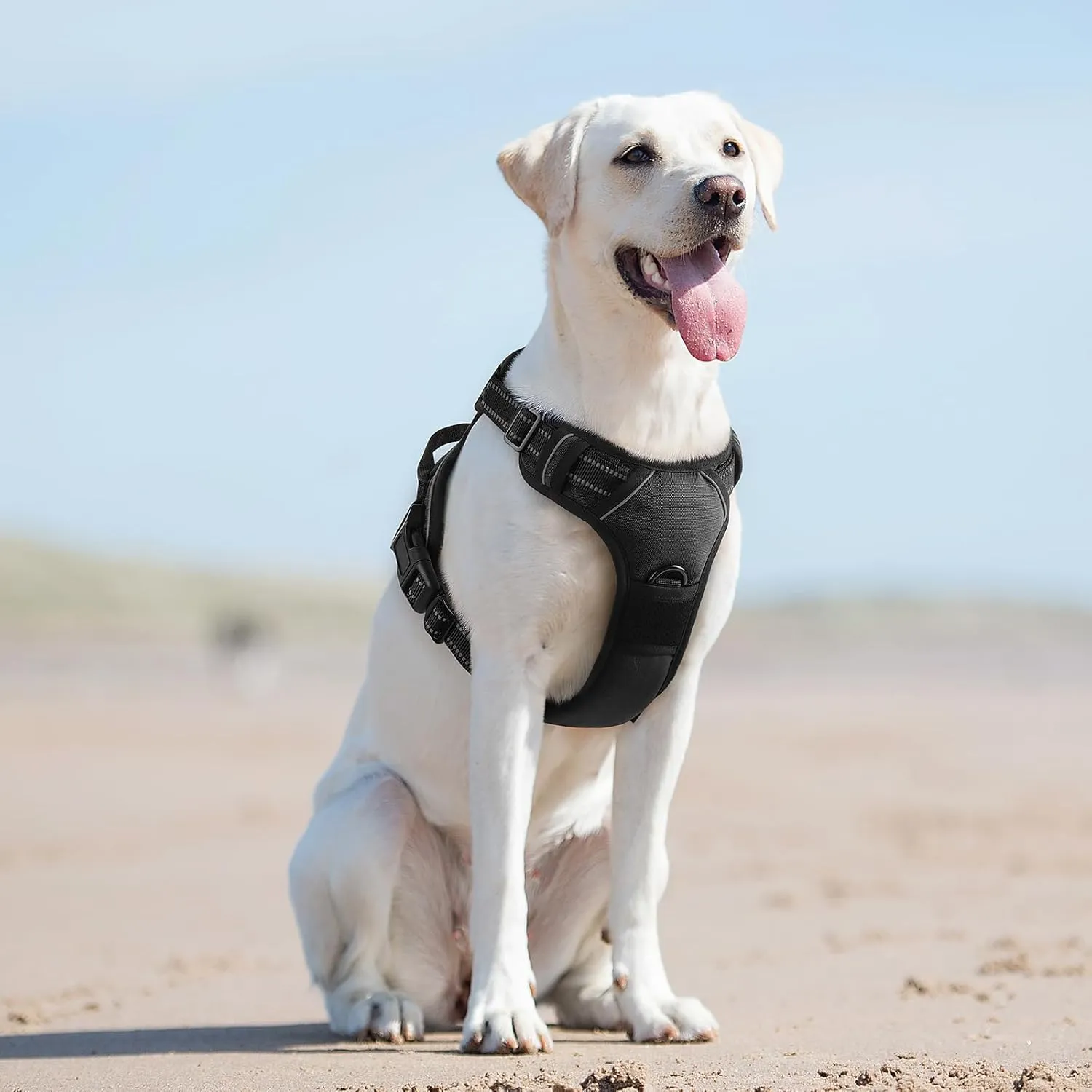 Eagloo Dog Harness for Large Dogs, No Pull Service Vest with Reflective Strips and Control Handle, Adjustable and Comfortable for Easy Walking, No Choke Pet Harness with 2 Metal Rings, Black, L