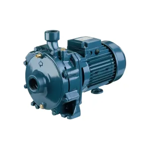 Ebara CDA Series Twin Impeller High Performance Cast Iron Centrifugal Pumps