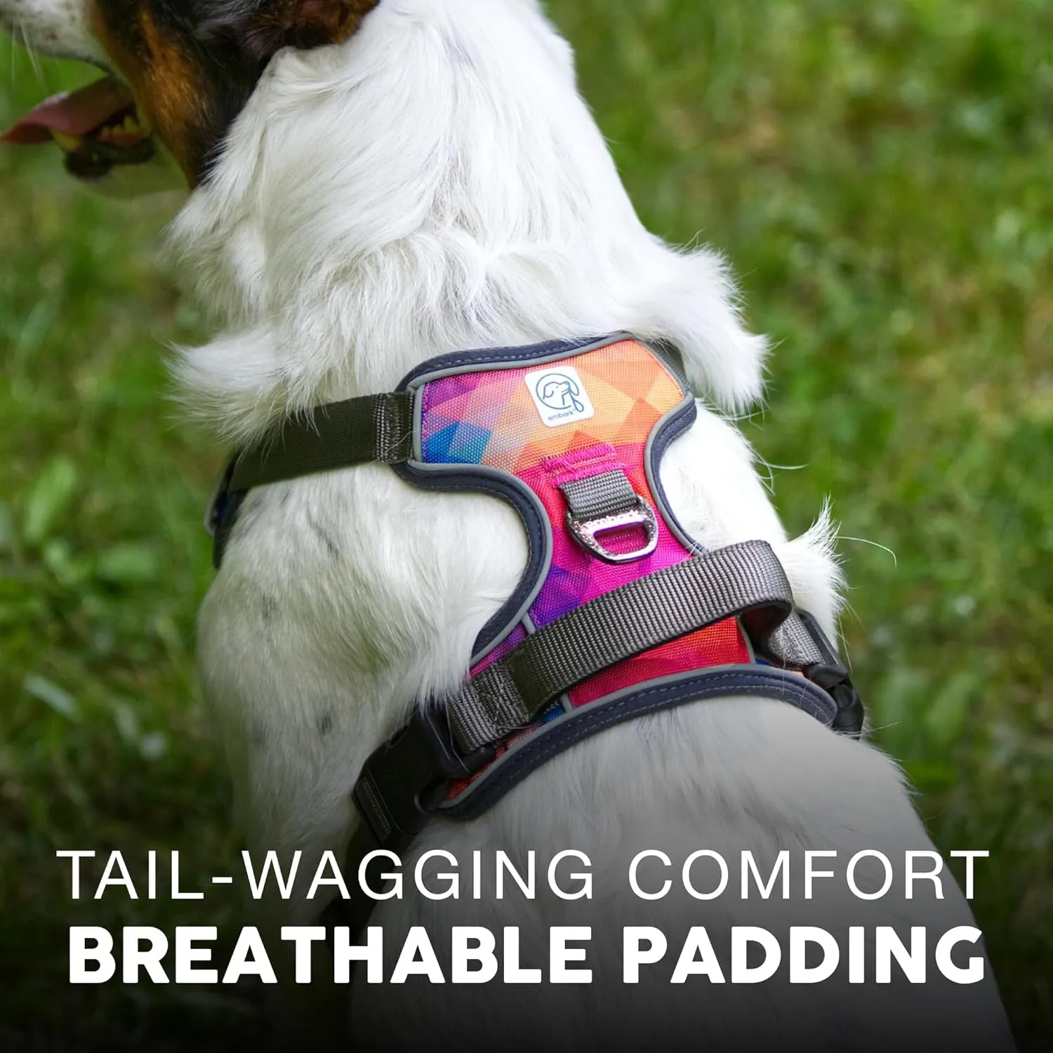 Embark Adventure Dog Harness, Reflective Trim No Pull Dog Harness for Large Dogs - Military Grade Nylon, Front Clip with Gel Lined Handle. Soft & Padded Puppy