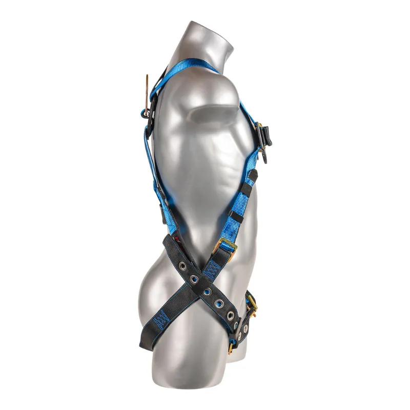 Essential  5-Point FBH with Removable Back/Shoulder Pad, TB Legs Harness