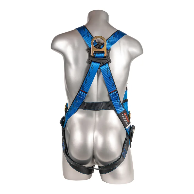 Essential  5-Point FBH with Removable Back/Shoulder Pad, TB Legs Harness