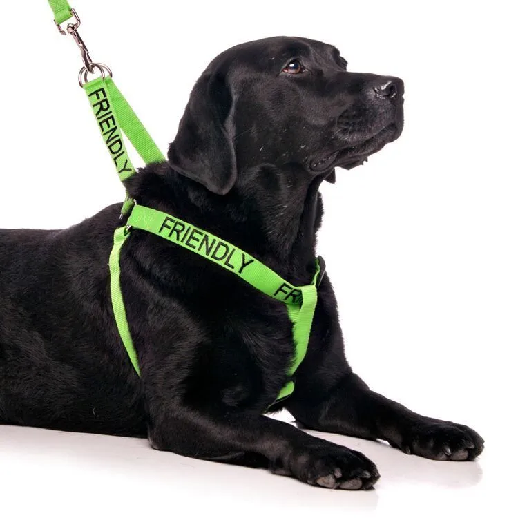 FDC -L/XL Strap Harness